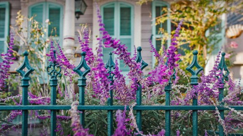 屋前的鲜花和铁艺围栏，路易斯安那州新奥尔良 (© Lauren Mitchell/Offset by Shutterstock)
