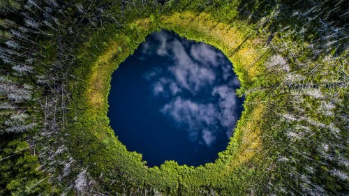 卡鲁拉国家公园里的小湖，爱沙尼亚 (© Sven Zacek/Minden Pictures)